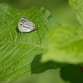 201206071418-DSC06890.jpg
