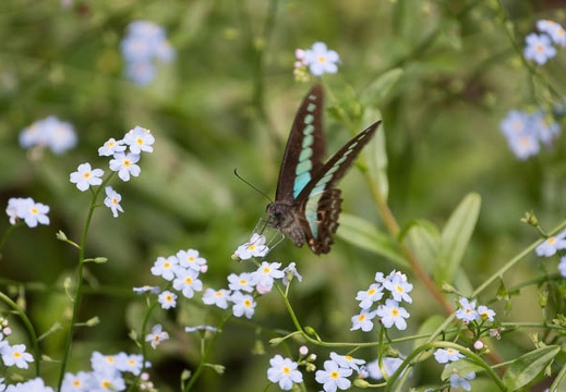 201206071448-DSC06923.jpg