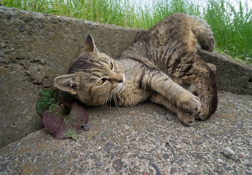 201206071624-DSC08298N.jpg