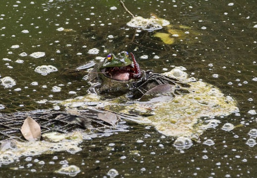 201206081626-DSC07280.jpg
