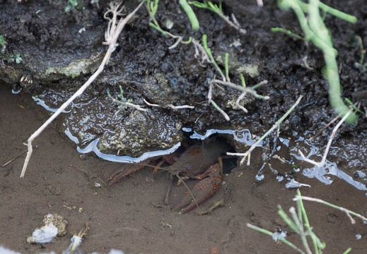 201206081702-DSC07317.jpg