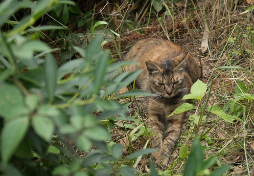 201206151519-DSC07366.jpg
