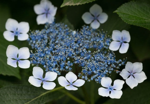 201206151533-DSC07392.jpg