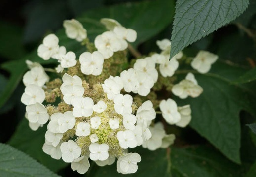 201206151614-DSC07477.jpg