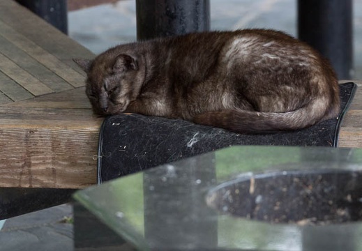 201206151701-DSC07556.jpg
