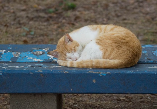 201206151726-DSC07589.jpg