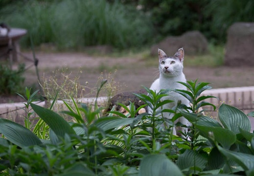 201206151741-DSC07613.jpg