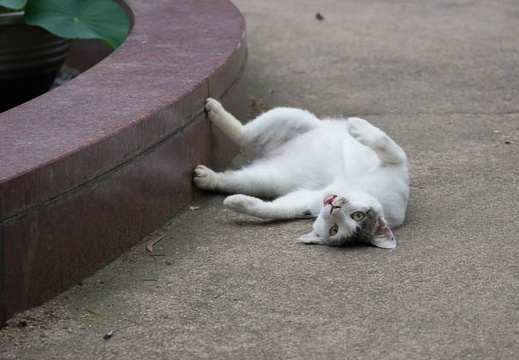 201206151745-DSC07640.jpg