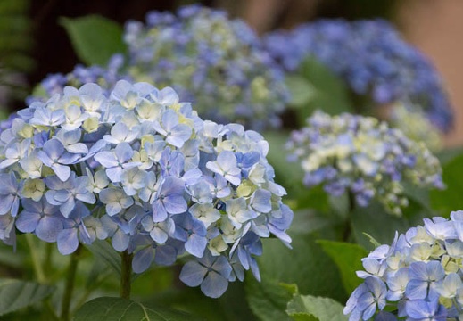 201206151751-DSC07647.jpg