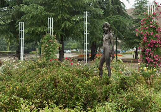 201206161323-DSC07708.jpg