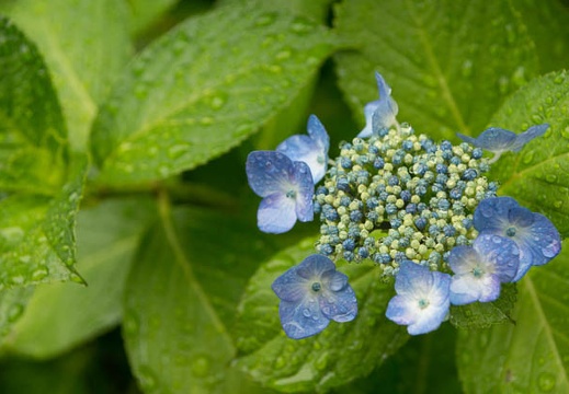 201206161351-DSC07771.jpg