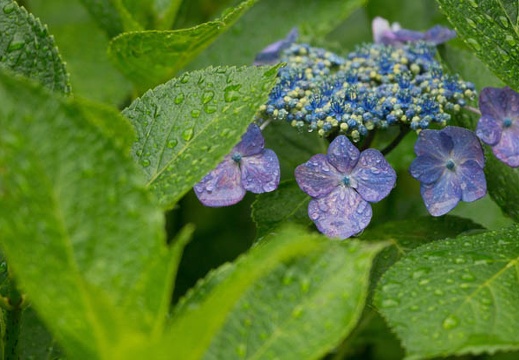 201206161357-DSC07789.jpg
