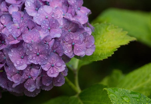 201206161400-DSC07798.jpg