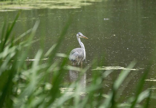 201206161439-DSC07869.jpg