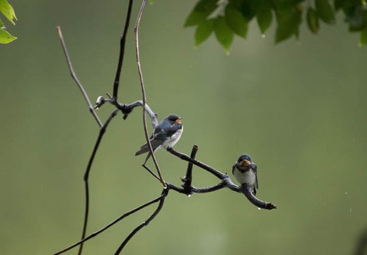 201206161506-DSC07914.jpg