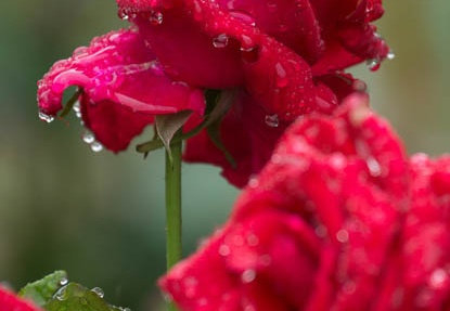 201206161522-DSC07942.jpg