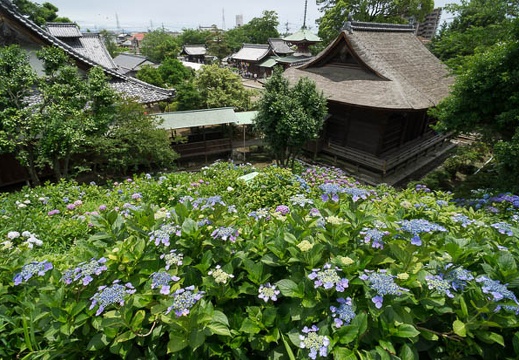 201206171140-DSC08483N.jpg