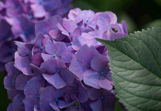 201206171251-DSC08281.jpg