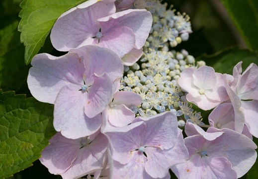201206171252-DSC08286.jpg