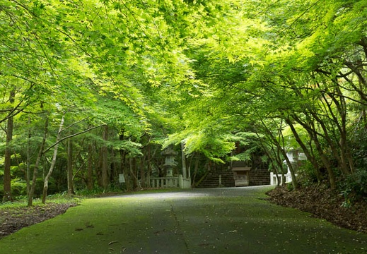 201206171511-DSC08312.jpg