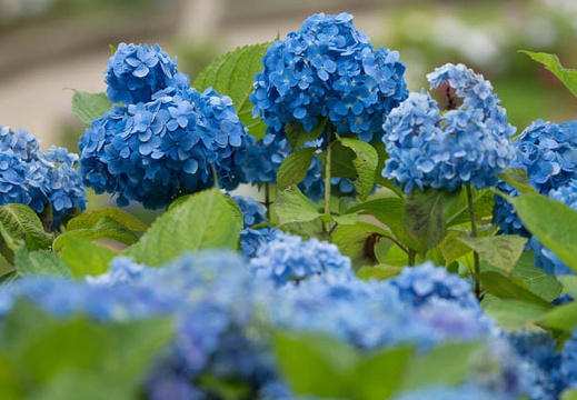 201206181239-DSC08643.jpg