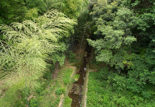 201206181300-DSC08751N.jpg