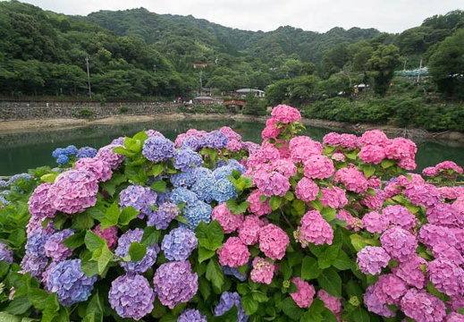 201206181332-DSC08763N.jpg