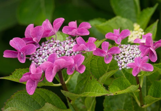 201206181333-DSC08715.jpg