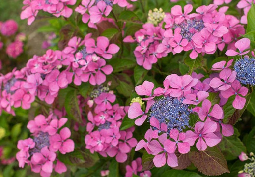 201206181338-DSC08727.jpg