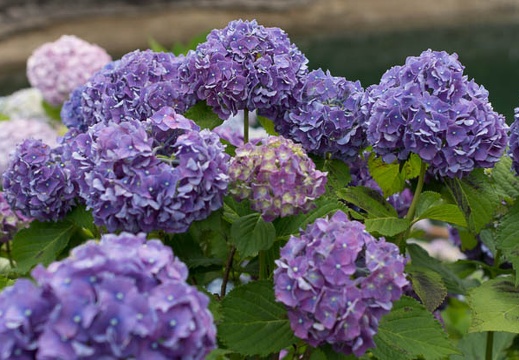 201206181340-DSC08735.jpg