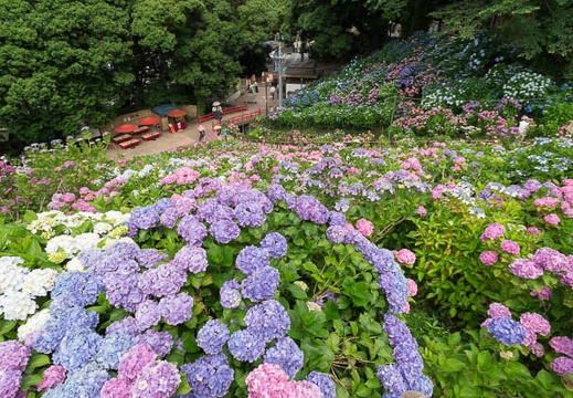 201206181343-DSC08769N.jpg