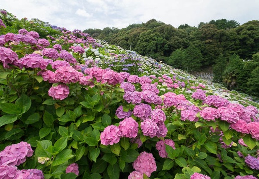 201206181406-DSC08799N.jpg