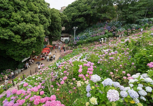 201206181406-DSC08800N.jpg