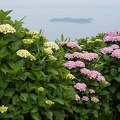 201206181509-DSC08872.jpg