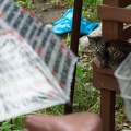 201206221419-DSC09284.jpg