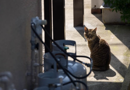 201206261518-DSC09525.jpg