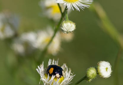 201206261537-DSC09554.jpg