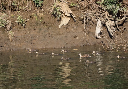201206261608-DSC09608.jpg