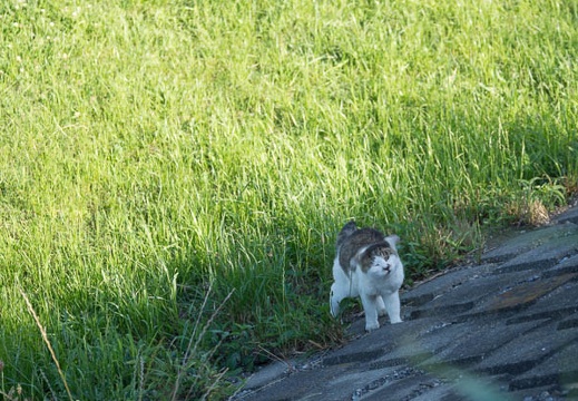 201206261621-DSC09631.jpg