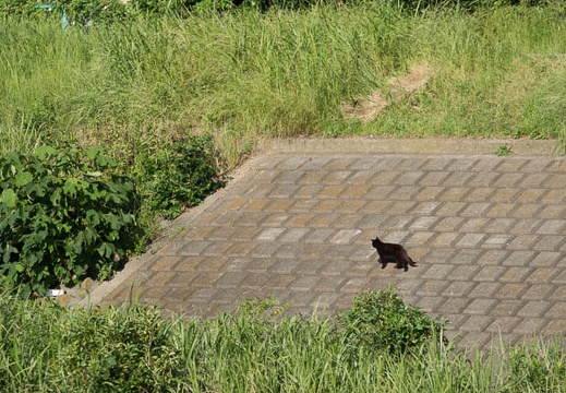 201206261622-DSC09635.jpg