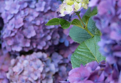 201206261650-DSC09649.jpg