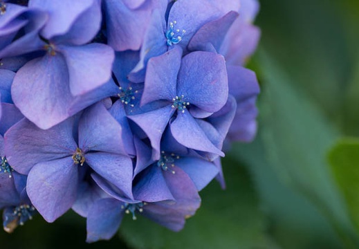 201206261655-DSC09662.jpg