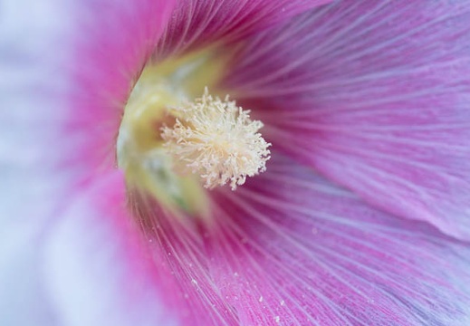 201206261659-DSC09672.jpg