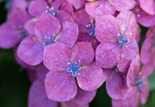 201206261701-DSC09682.jpg
