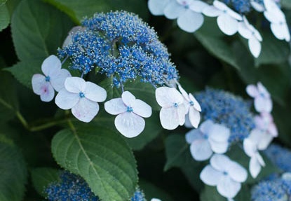 201206261719-DSC09729.jpg