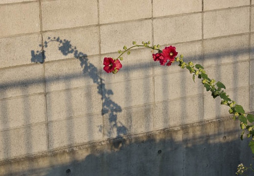201206261803-DSC09800.jpg