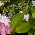 201206261813-DSC09814.jpg