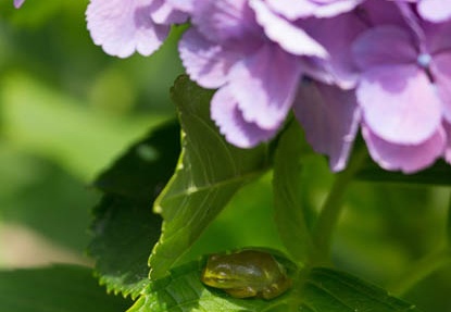201206271004-DSC09965.jpg