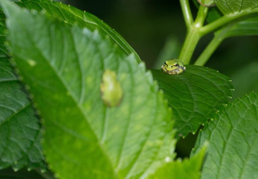 201206271020-DSC09998.jpg