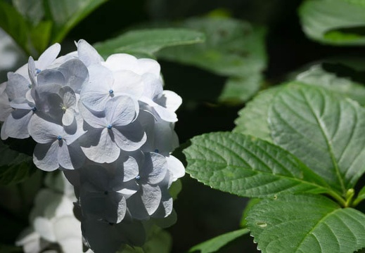 201206271045-DSC00035.jpg